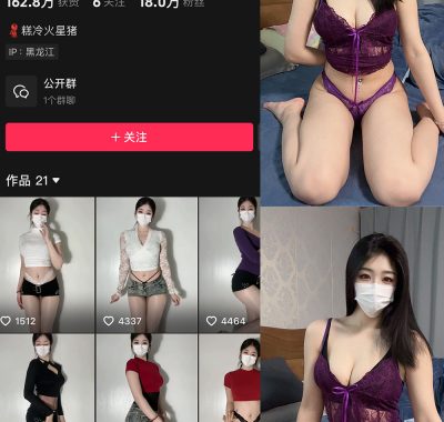 抖音 极品小姨 微密圈写真合集【持续更新中】