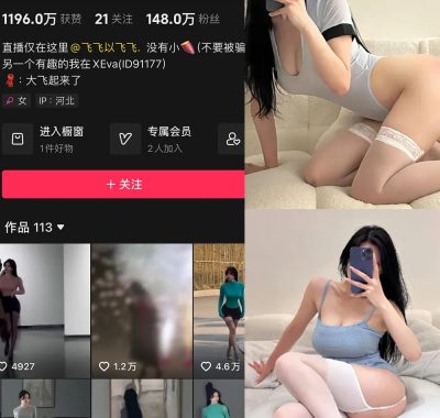 大飞起来了微密圈图片&付费视频 网盘资源合集[持续更新]