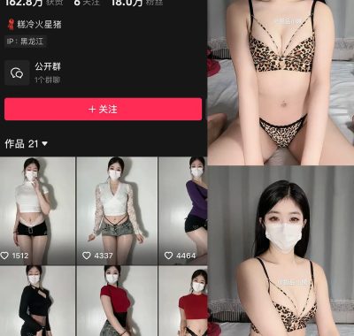 抖音 极品小姨 微密圈 NO.016期 【4P2V】最新至：2025.3.27