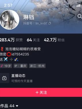 琳铛 微密圈 图片视频 网盘资源合集