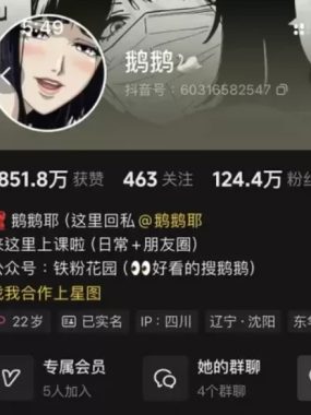 抖音[鹅鹅]铁粉空间视图资源合集网盘全套资源打包